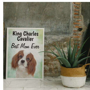 King Charles Cavalier Best Mom Poster