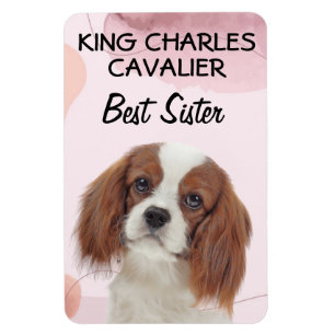 King Charles Cavalier Best Sister Magnet
