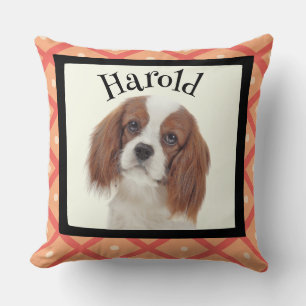 King Charles Cavalier customised photo frame Cushion