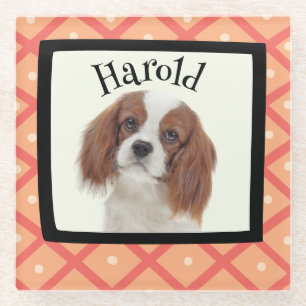 King Charles Cavalier customised photo frame Glass Coaster