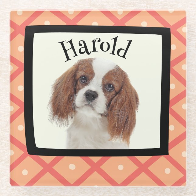 King Charles Cavalier customised photo frame Glass Coaster (Front)