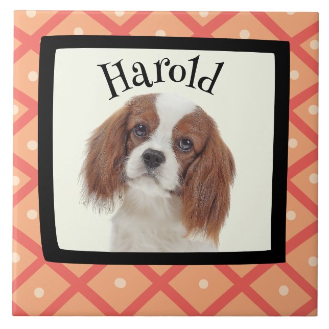 King Charles Cavalier customised photo frame Tile (Front)