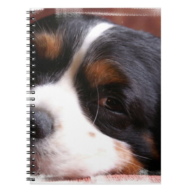 King Charles Cavalier  Notebook (Front)