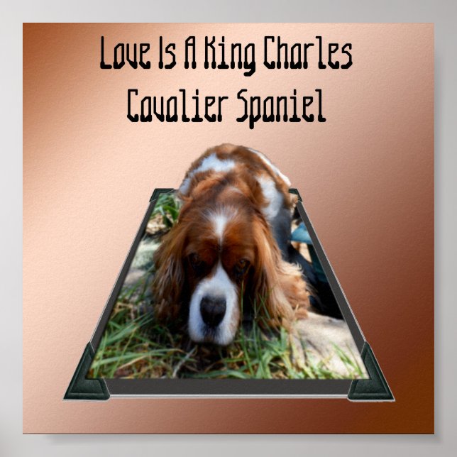 King Charles Cavalier Spaniel, Pop Out Art Poster (Front)