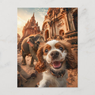 King Charles Cocker Spaniel in Ankor temple Holiday Postcard