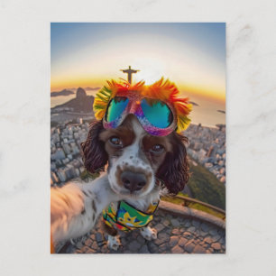 King Charles Cocker Spaniel in Brazil Holiday Postcard