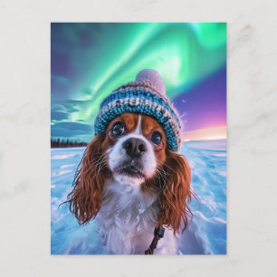 King Charles Cocker Spaniel with northern lights Holiday Postcard