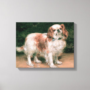 King Charles Spaniel, 1907 Canvas Print