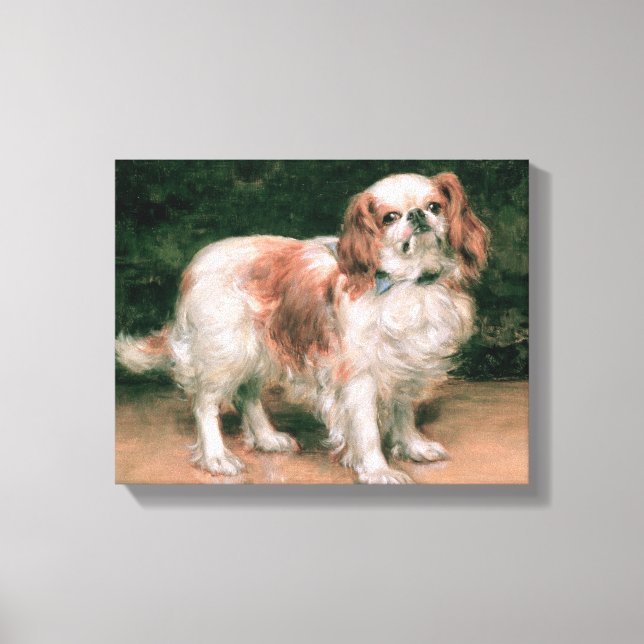 King Charles Spaniel, 1907 Canvas Print (Front)