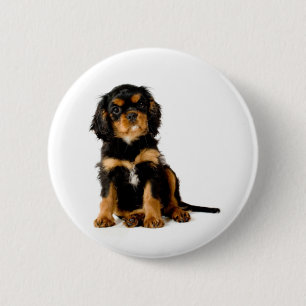 King Charles Spaniel Black & Tan 6 Cm Round Badge