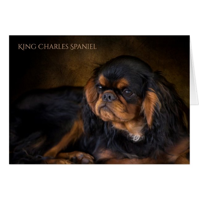 King Charles Spaniel Blank Greeting Card (Front Horizontal)