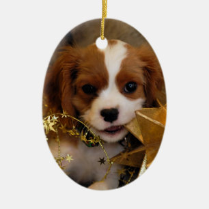 King Charles Spaniel Christmas Ornament