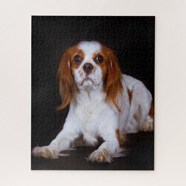 King Charles Spaniel Dog. Jigsaw Puzzle (Vertical)