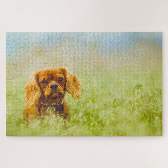 King Charles Spaniel Dog. Jigsaw Puzzle (Horizontal)