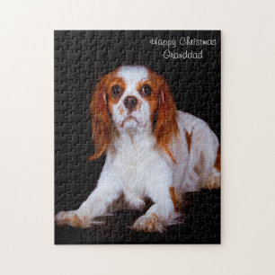 King Charles Spaniel Dog. Jigsaw Puzzle