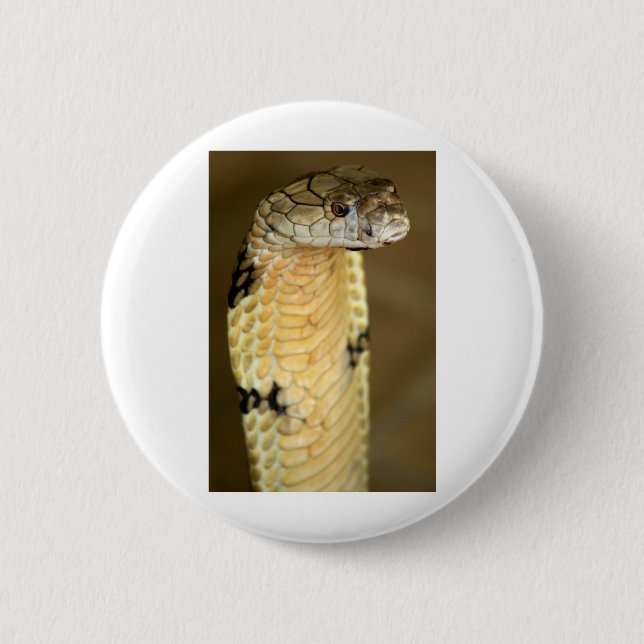 king cobra 6 cm round badge (Front)