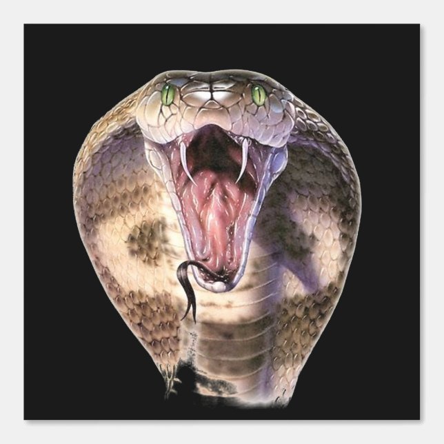 King Cobra Custom Colour Black Wallpaper (Front)