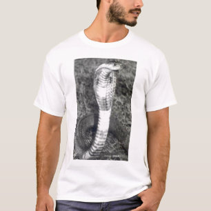 king cobra shirt