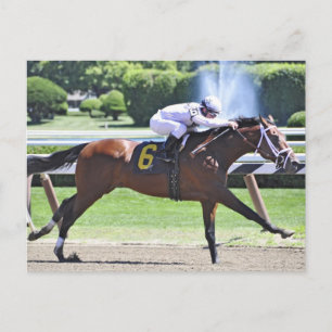 King Cyrus with Javier Castellano Postcard