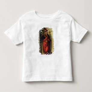 King David Toddler T-Shirt