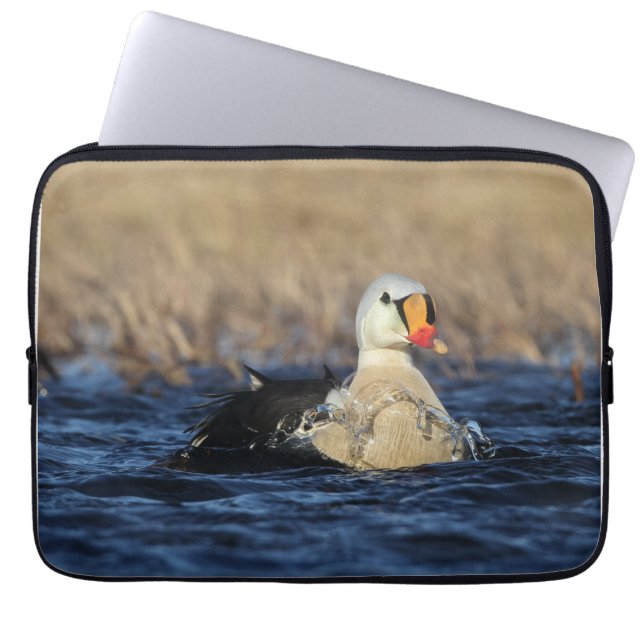 King Eider Bird Laptop Sleeve (Front)