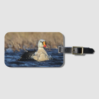 King Eider Bird Luggage Tag