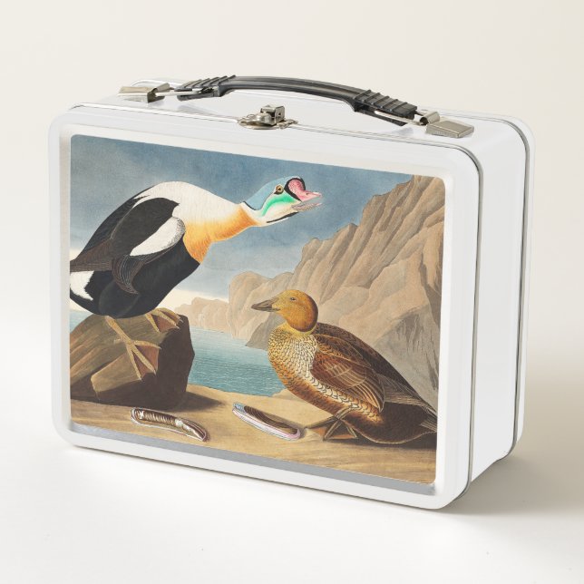 King Eider Duck from Birds of America (Audubon) Metal Lunch Box (Front)