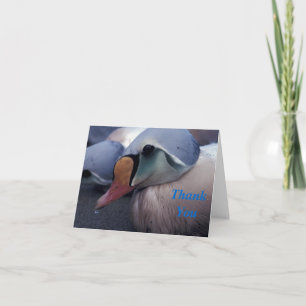 king eider male thank you card