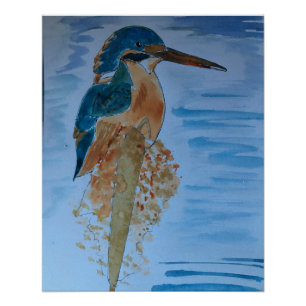 King fisher bird poster