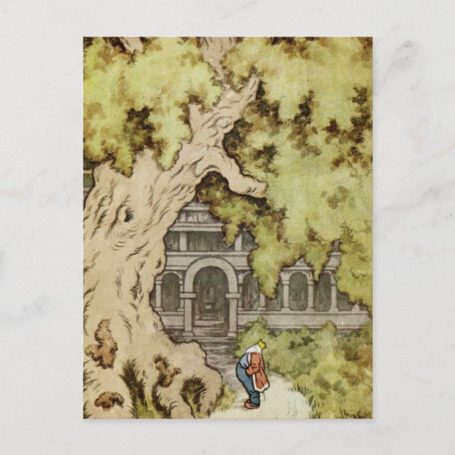 King Looks up into Giant Tree Postcard (Front)