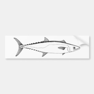 King Mackerel Line Art Bumper Sticker