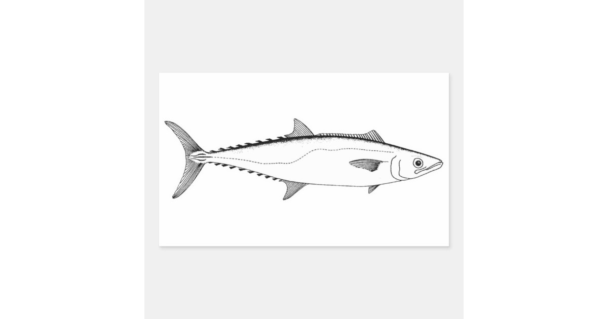 King Mackerel Line Art Rectangular Sticker Zazzle.co.uk