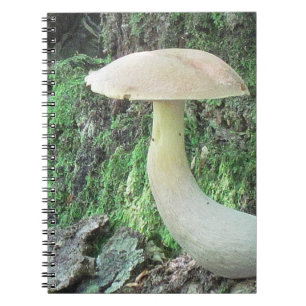 King Mushroom Notebook