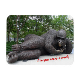 King Nyani takes a break. NYC - photo magnet