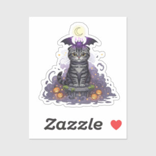 King of Cute Spooky Night – Royal Scottish Fold