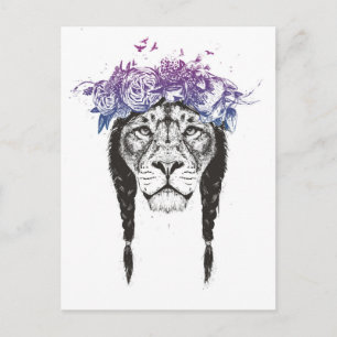 King of lions postcard