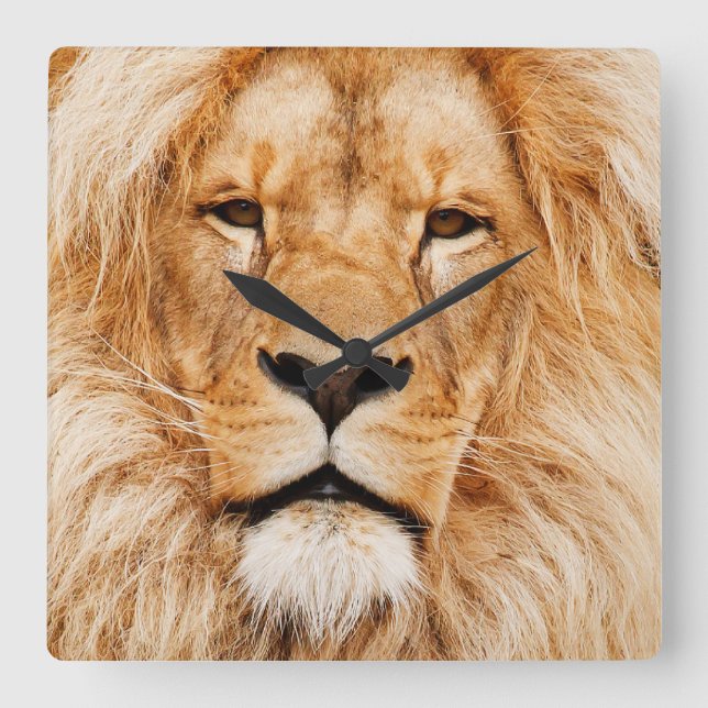 King of the Beasts Square Wall Clock (Front)