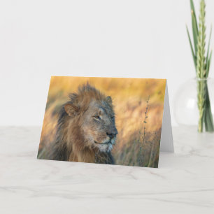 King of the Jungle, Botswana Card