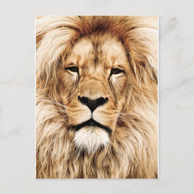 King of the Jungle Lion Post Card (Front)