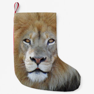 King of the jungle lion small christmas stocking