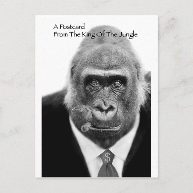king of the jungle postcard (Front)