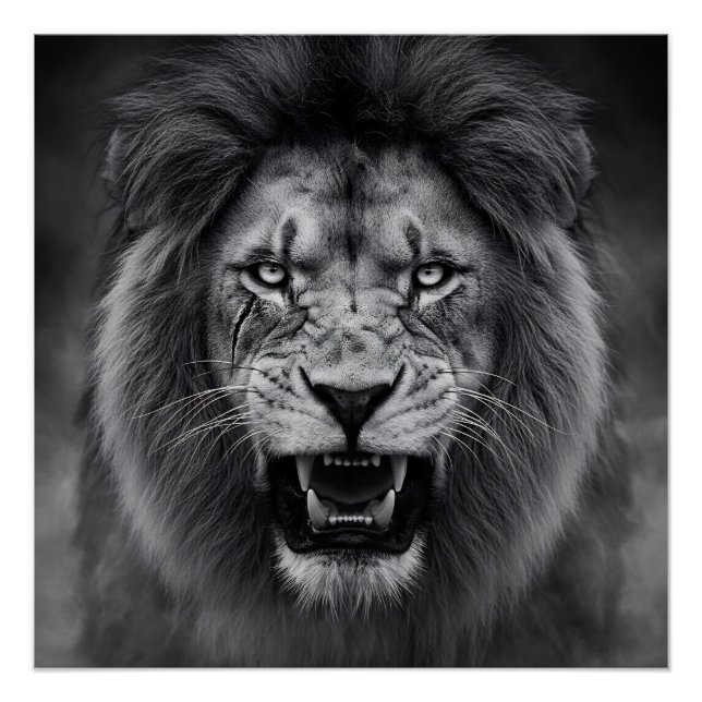 King of the Jungle Poster (Front)