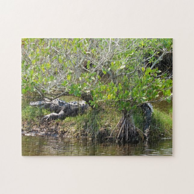King of the Swamp - Alligator Jigsaw Puzzle (Horizontal)
