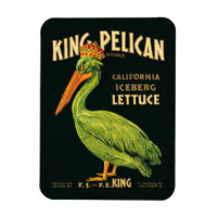King Pelican Iceberg Lettuce