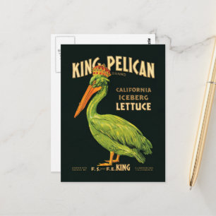 King Pelican Iceberg Lettuce Postcard