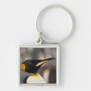 King penguin (Aptenodytes patagonicus) Key Ring