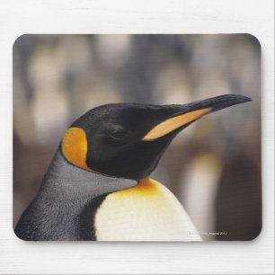 King penguin (Aptenodytes patagonicus) Mouse Mat
