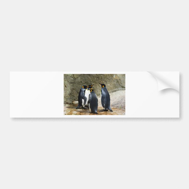 King Penguin Bumper Sticker (Front)