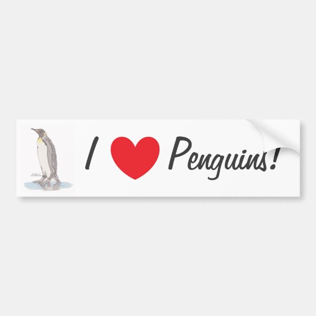 King Penguin Bumper Sticker (Front)