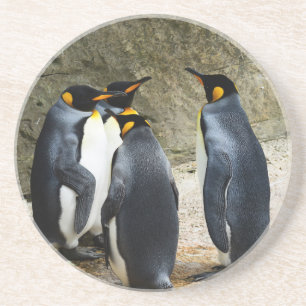 King Penguin Coaster